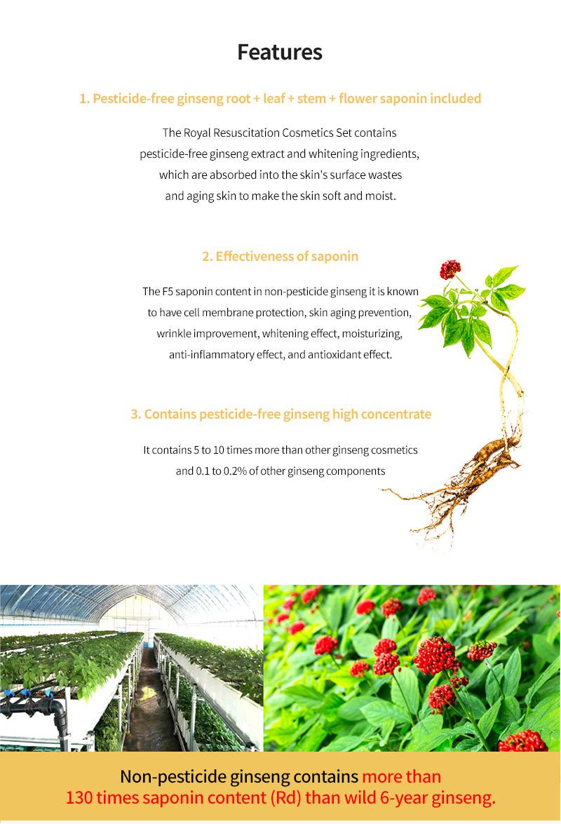 Royal Ginseng Special Set - Image 5